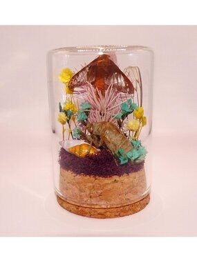 Oakworm Moth Cicada Skin Flowers Oddity Jar insect taxidermy curiosity diorama